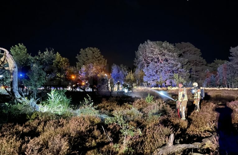 UPDATE: Brandweer rukt massaal uit voor heidebrand in Lattrop-Breklenkamp